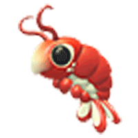 Emperor Shrimp
