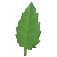 Leaf