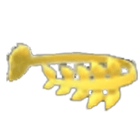 Gold Crown
