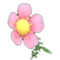 Flower Monocle
