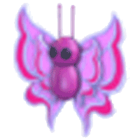 Orchid Butterfly