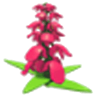 Snapdragon Flower