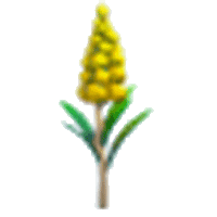 Goldenrod Flower