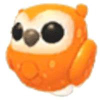 Clementine Owl