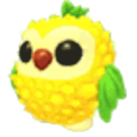 Pineapple Owl
