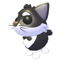 Tuxedo Cat