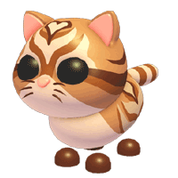 Catte