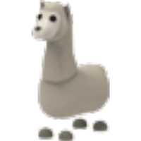 Llama