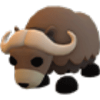 Musk Ox